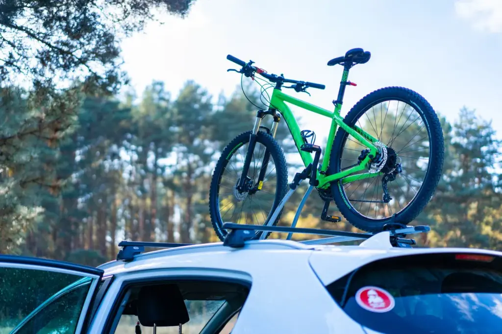 Ein grünes Mountainbike auf dem Autodach, vor einer Waldkulisse.